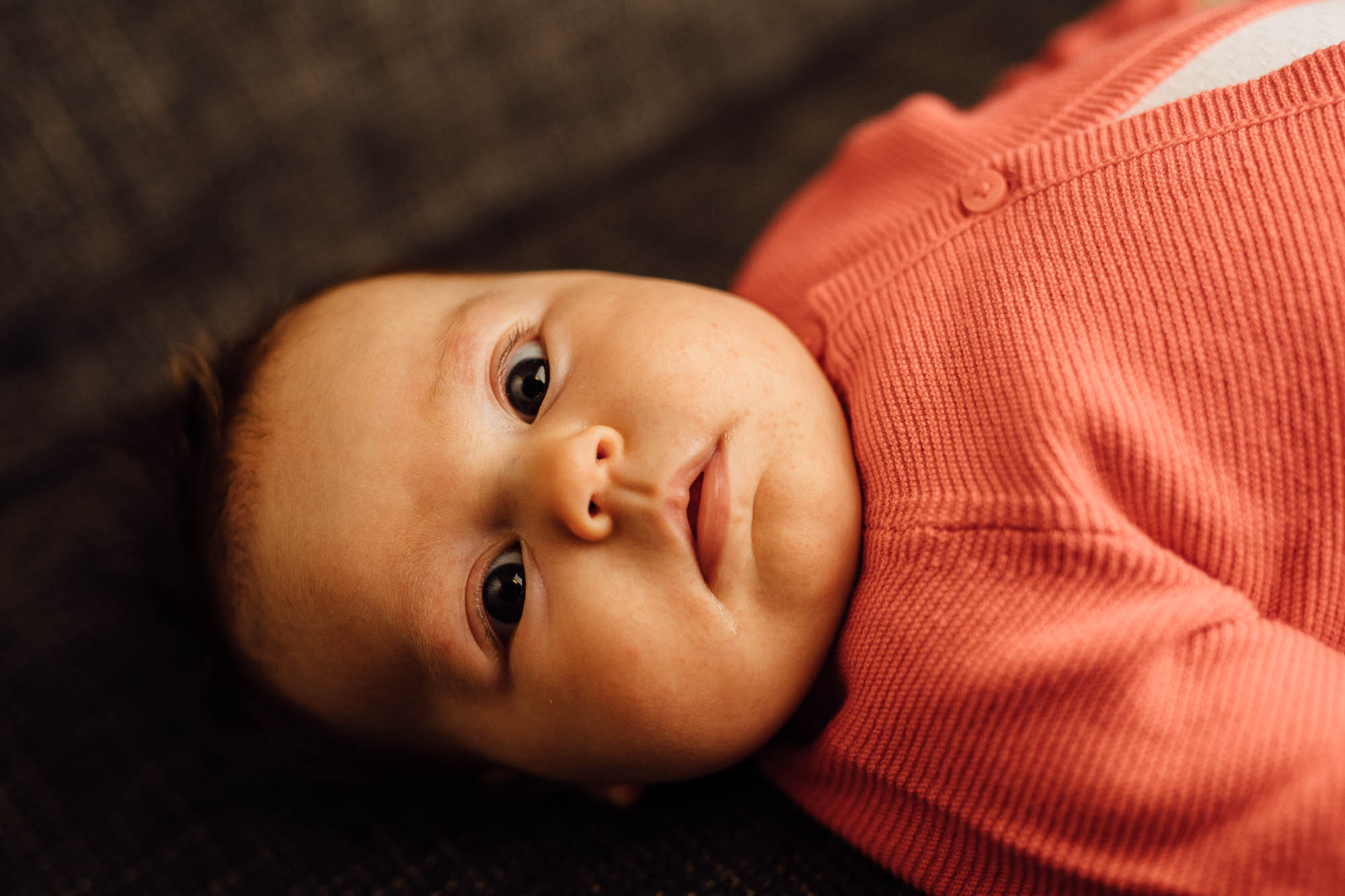 Export x3 5D4 0429 Familyfotoshooting 2020 Rossbach